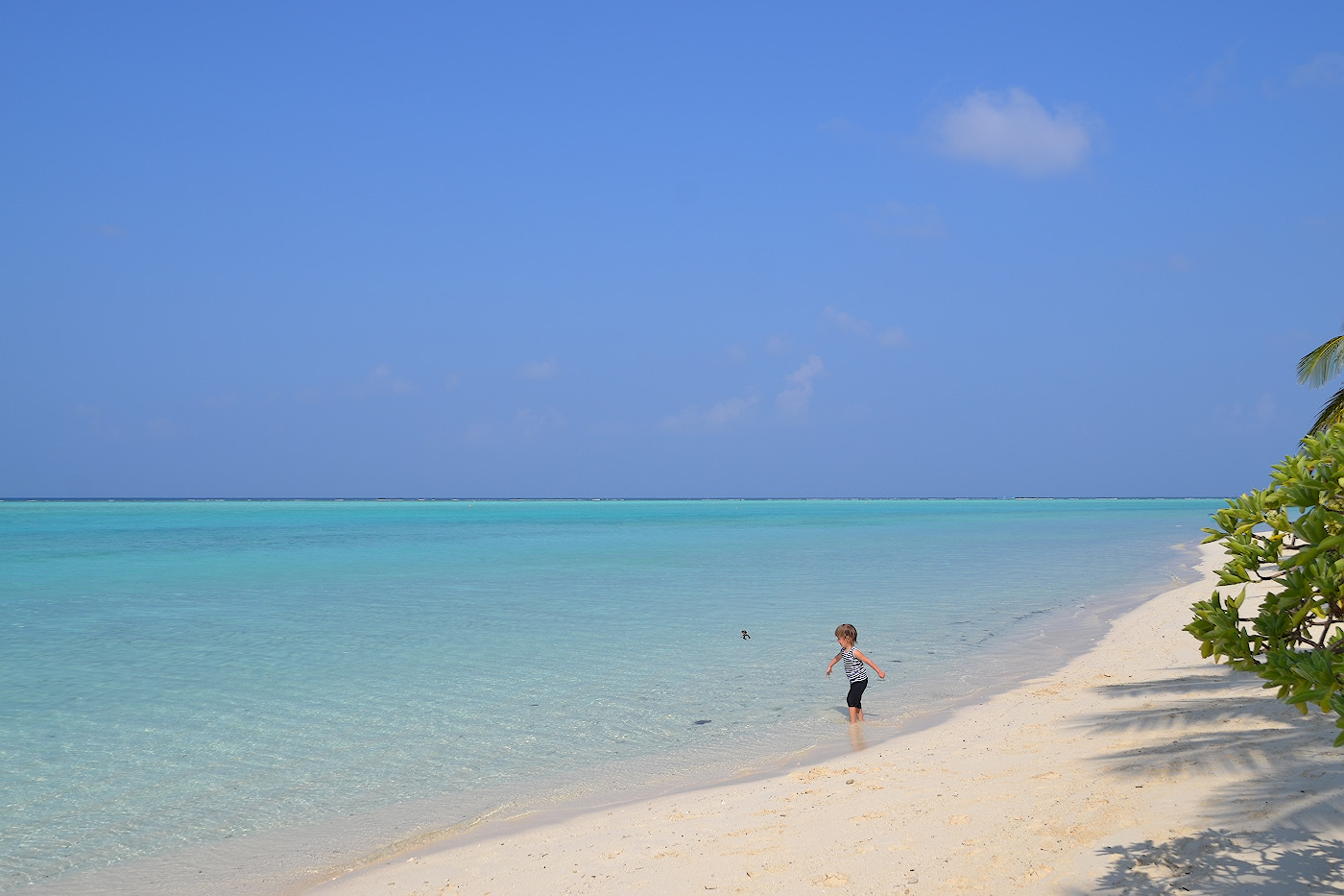 Фотография 16. На острове Тодду - идеальные для отдыха с детьми пляжи. Отчеты туристов о поездке на Мальдивы самостоятельно. 1/500, 11, 100, 55.