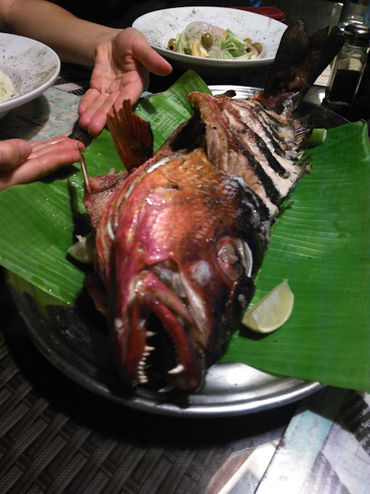 Фотография 18. Наш ужин – рифовая рыба. Чем питаться на Мальдивах. Снято на смартфон.