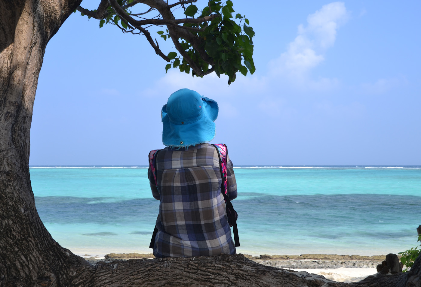 Фото 25. Мечты об отдыхе на Мальдивах пусть станут реальностью. До свиданья, Тодду! 1/320, 9, 100, 55.