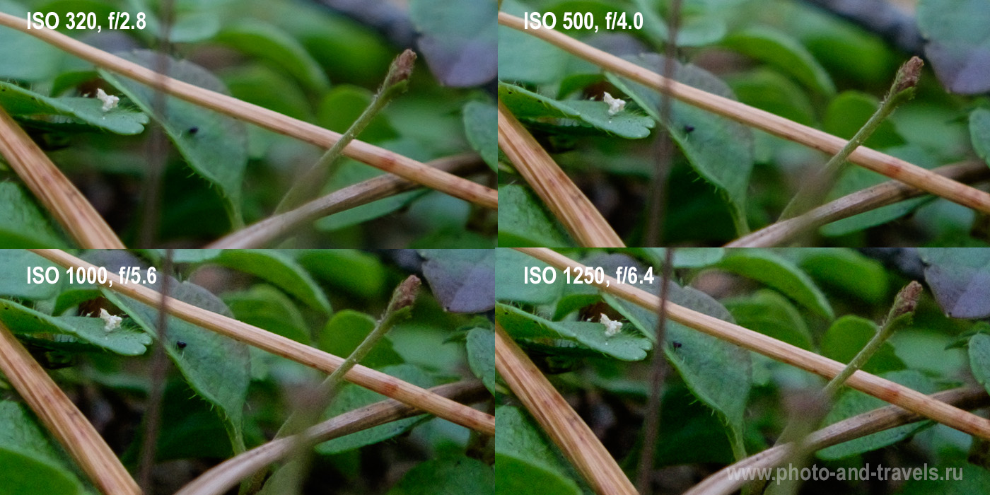 6. Сравнение количества шумов на изображении, получаемого при съемке объективом (симуляция) Fujinon 16-50mm f/2.8 (слева вверху), Fujifilm 18-55mm f/4 (справа вверху), Fujinon 16-50mm f/3.5-5.6 и Fuji 15-45mm f/3.5-5.6 (слева внизу), а также Fujifilm 50-230mm f/4.5-6.7 (справа внизу).