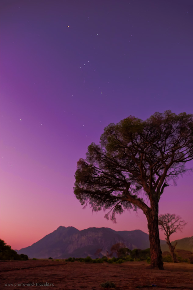 Фотография 32. Чем заняться в Чиралы? Снимать ночной пейзаж со звездами и сухими деревьями (здесь мы видим созвездие Орион). 8.0, 2.8, 800, 16.