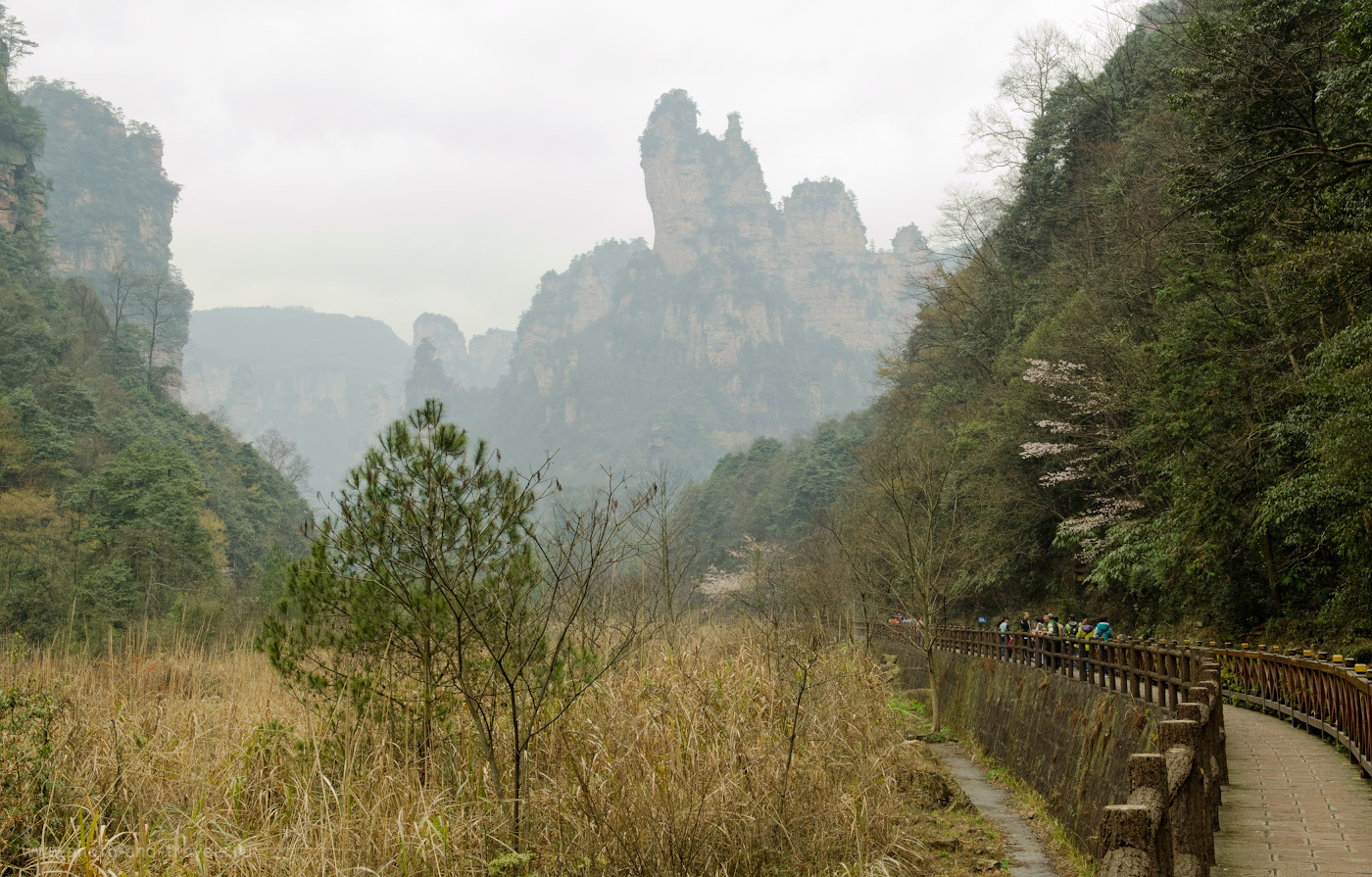 6. Будут эти пейзажи парка Чжанцзяцзе в Китае еще долго мне сниться. Отчет о прогулке из деревни Улинъюань самостоятельно.