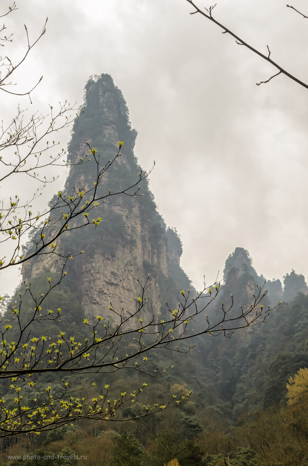 Фотография 7. Горы национального парка Чжанцзяцзе. Отзыв об отдыхе в Китае. Первая весна в 2014 году. 1/640, 11.0, 500, 35.