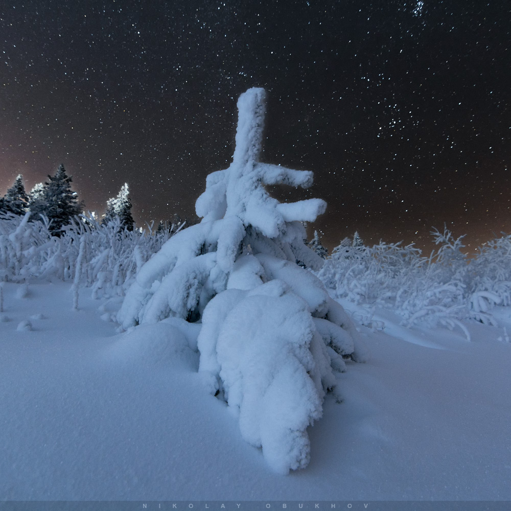 Фотография 9. Пример ночного зимнего пейзажа. Камера Nikon D7100 с объективом Tokina 11-16mm f/2.8 DX II. Небо: 12 mm, ISO 2500, f/2.8, 20 s, 1 кадр. Земля: 12 mm, ISO 400, f/2.8, 99 s, 1 кадр.