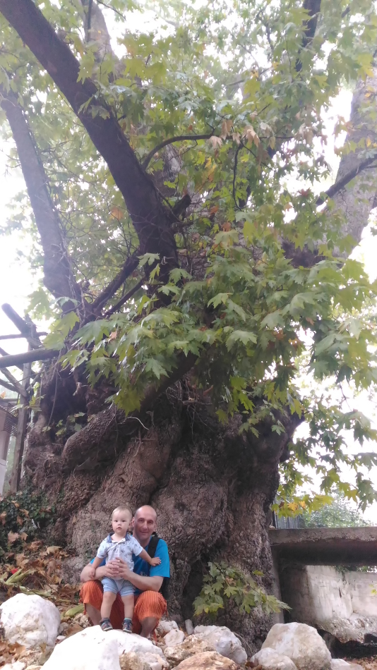 22. Как мы искали старинное дерево в Кемере. Снято на смартфон.