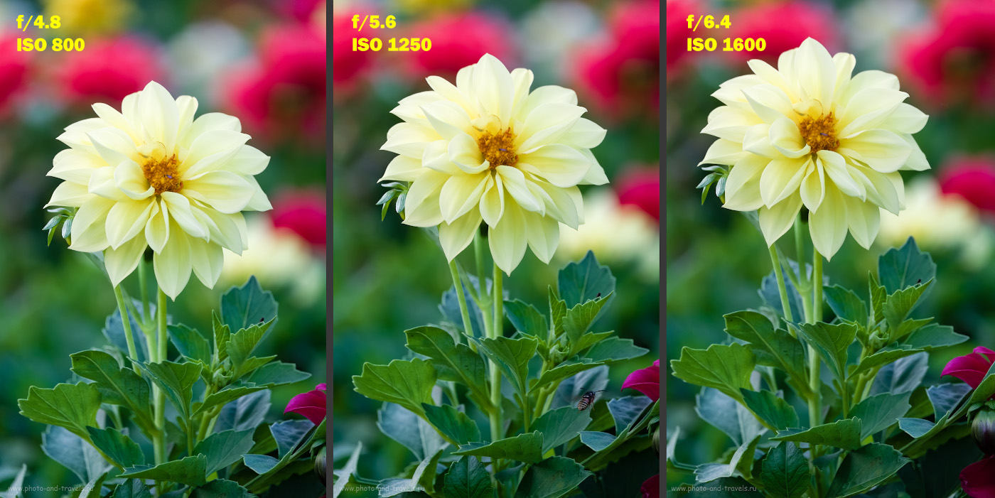 19. Как светосила объектива влияет на качество изображения. Сравниваем Fuji 50-200mm f/3.5-4.8 и Fuji 50-230mm f/4.5-6.7.