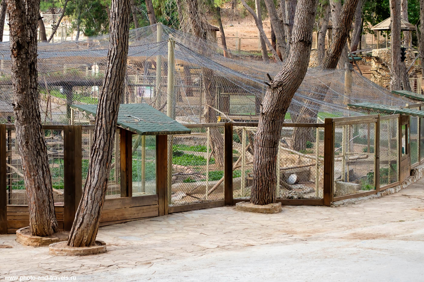 Фотография 11. Вольер для приматов в зоопарке Анталии. Отзыв о самостоятельной экскурсии.