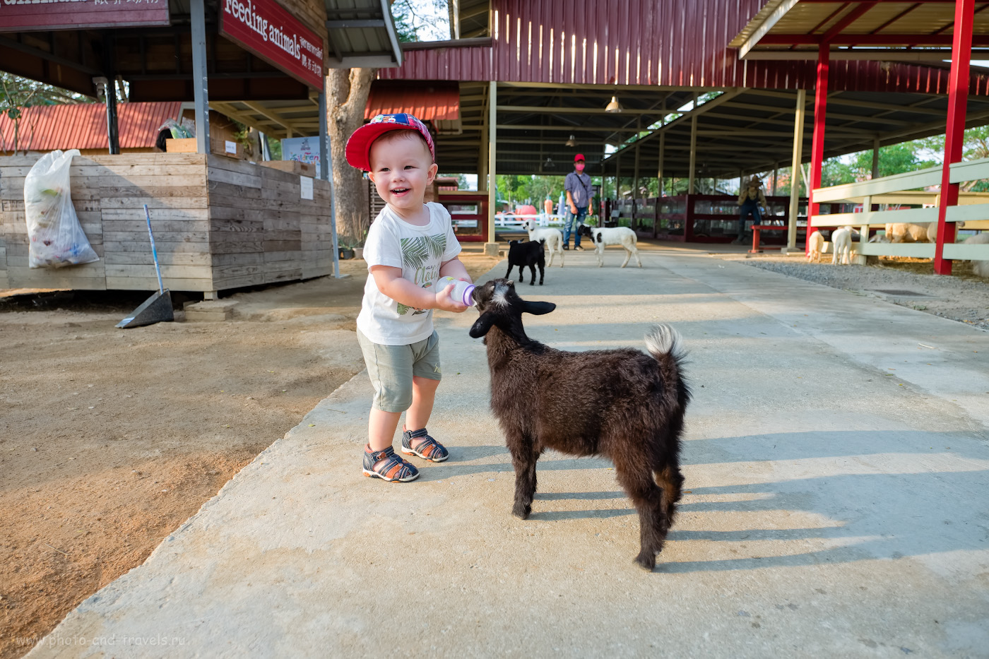 15. Что обязательно посетить с детьми в Паттайе? Овечью ферму (Pattaya Sheep Farm Family Park). 1/210, 2.8, 200, +1.0, 16.