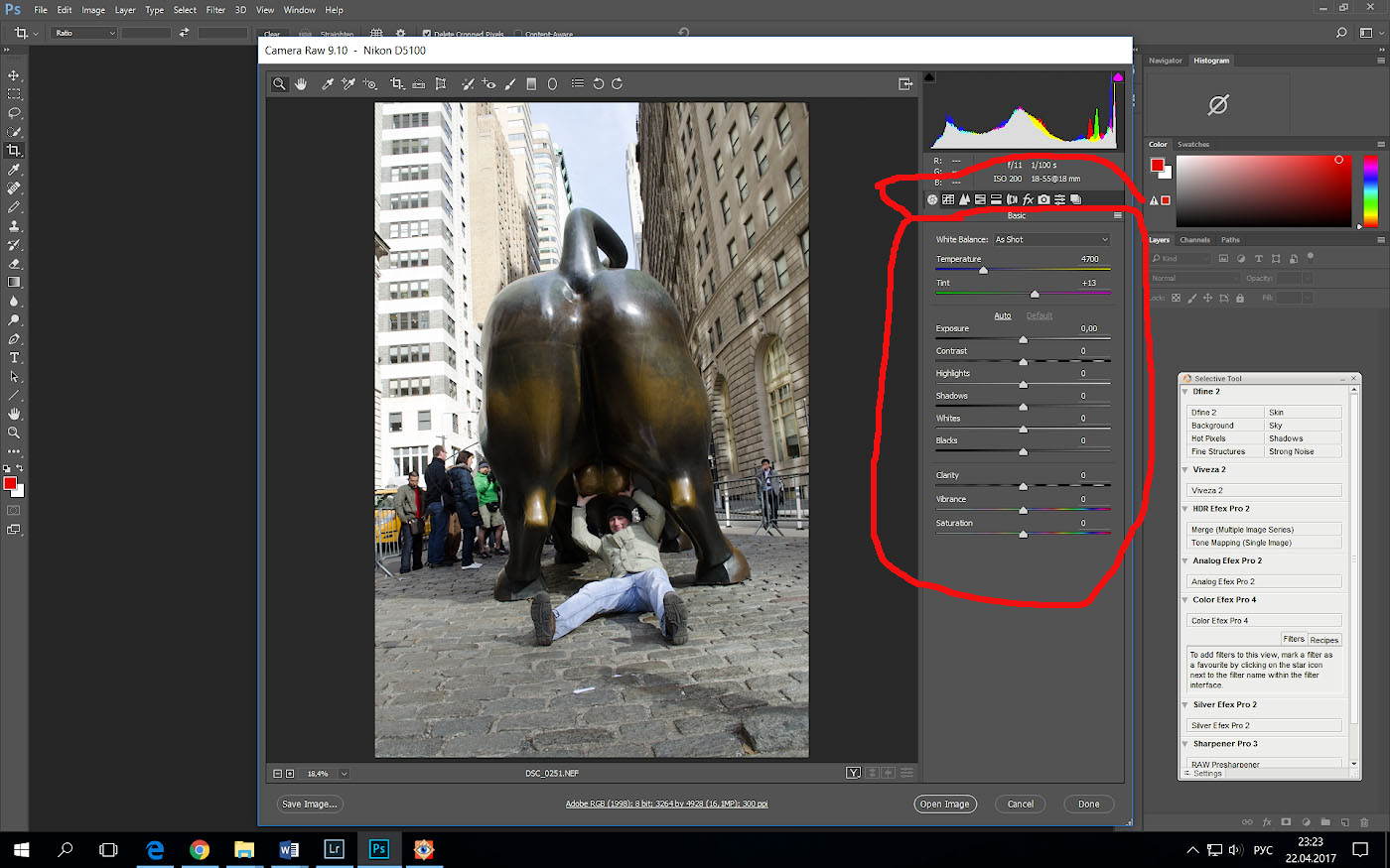 Фото 44. Панель базовой обработки фотографий в формате NEF в программе Photoshop в модуле “Camera RAW”.