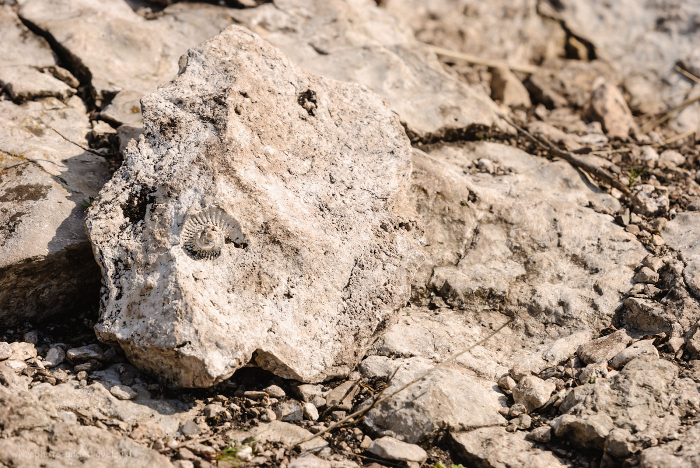 Фотография 33. Отпечаток раковины морского моллюска на камне, что я нашел на склоне шихана Торатау. Отзывы об отдыхе в Башкирии. 1/320, -0.67, 9.0, 100, 200.