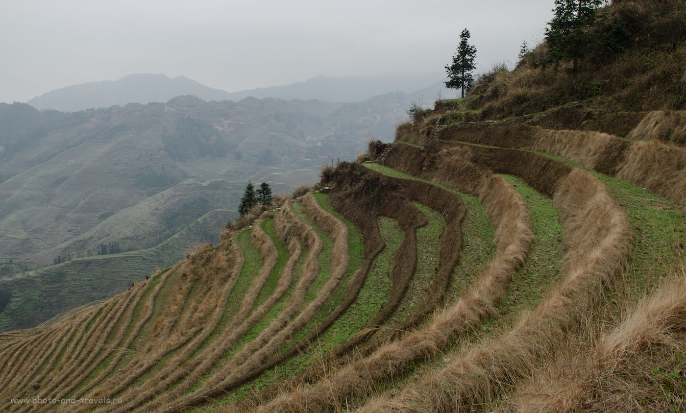 Фото 13. Весна в китайских горах. Рисовые террасы Лунцзи. Как добраться из Гуйлиня
