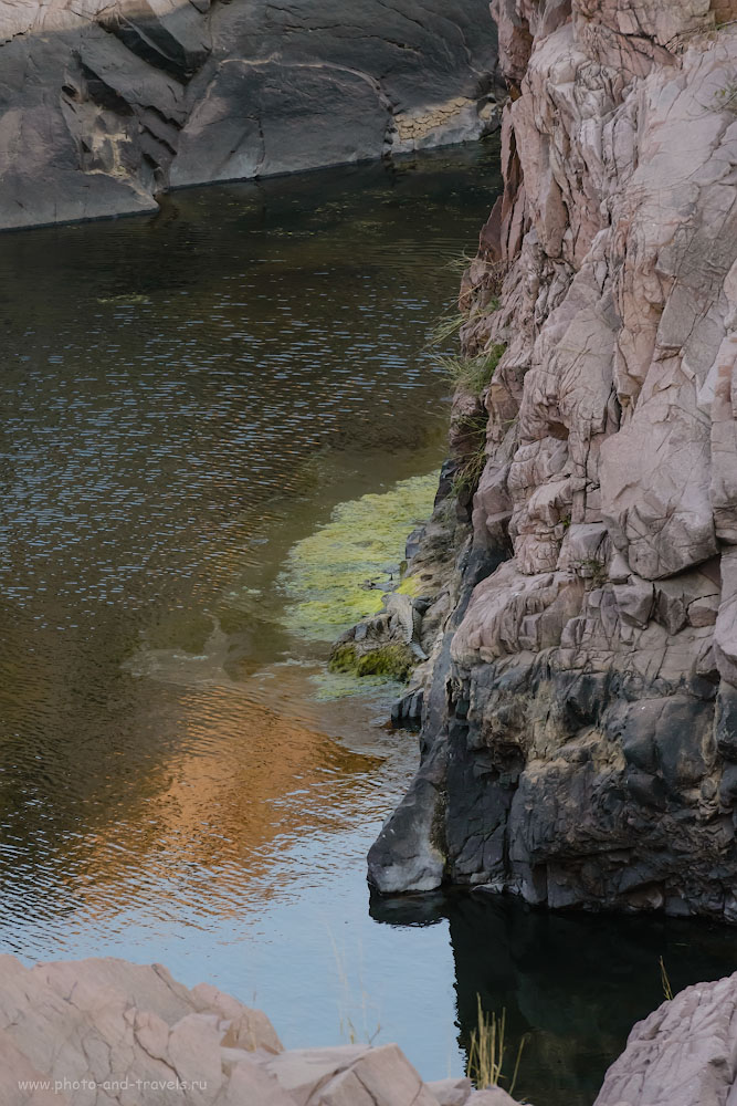 Фотография 9. Крокодил на берегу реки Кен в ущелье, рядом с водопадами Raneh Falls. 1/500, -0.67, 14.0, 6400, 280.
