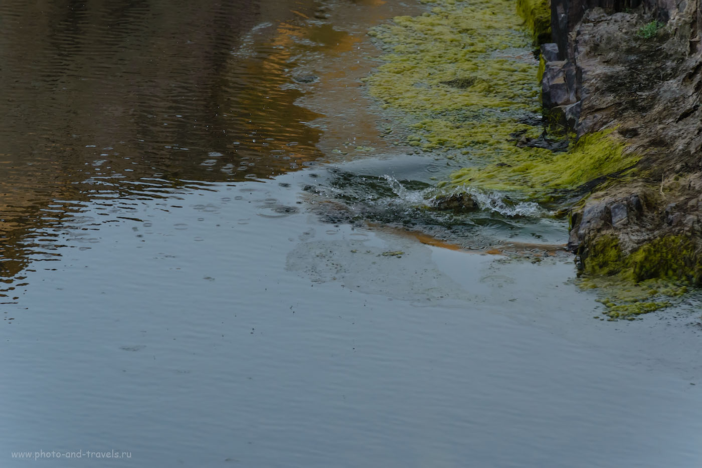 Фото 11. Когда на фотоохоте изменила удача. Как мы искали крокодила в каньоне реки Кен, что у водопадов Ранех. 1/640, -0.67, 9.0, 2500, 280.