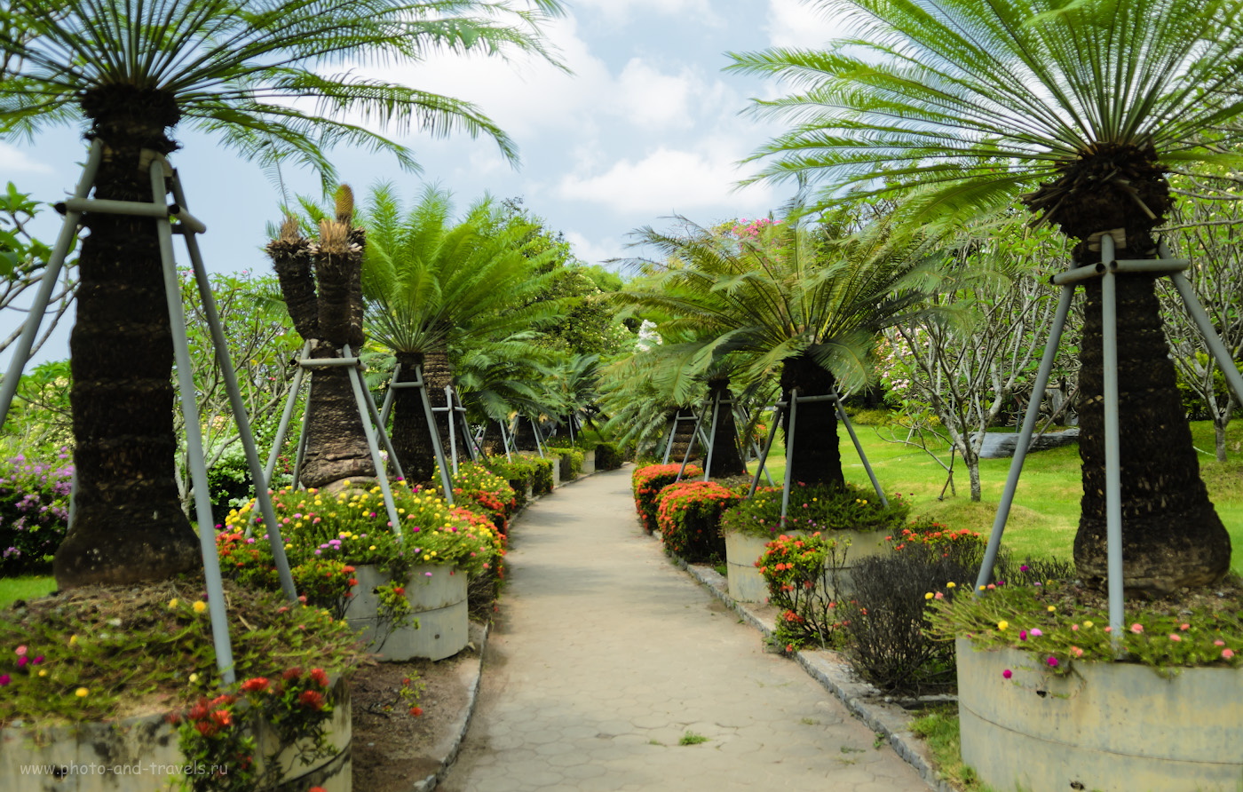 Снимок 7. Пальмовая аллея в Парке Миллионолетних Камней в Паттайе. Отзывы туристов об отдыхе в Таиланде. 1/320, 2.8, 100, 19.