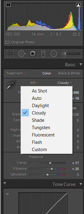 Рисунок 26. Меню выбора температуры цвета в программе Lightroom (как снято, автоматически, солнечный день, облачно, тень, лампа накаливания, флуоресцентная лампа, вспышка, пользовательский ББ).