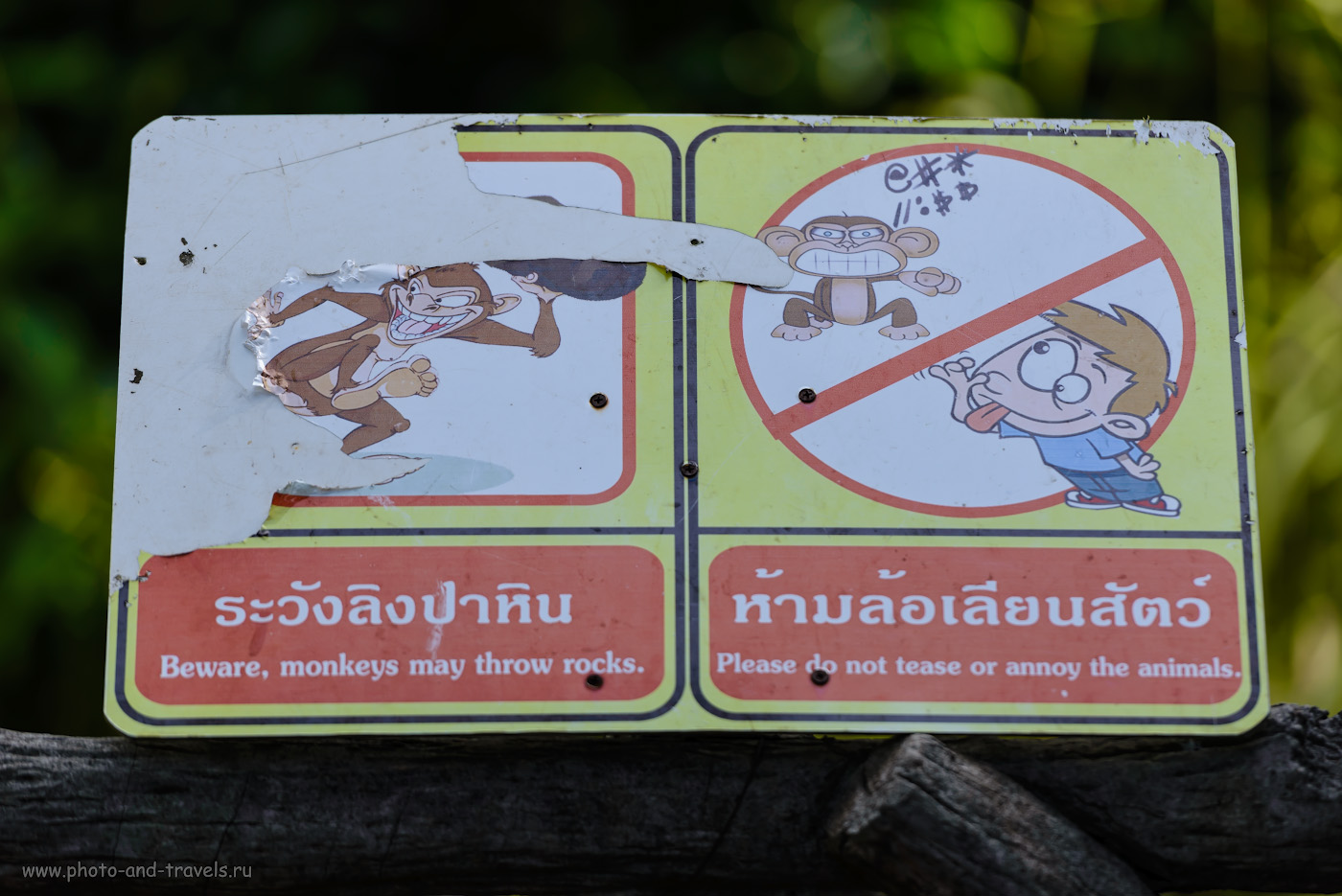 Фотография 26. Табличка в зоопарке «Кхао Кхео». Справа написано: «Не дразнить шимпанзе». Слева: «Будьте осторожны, кидаются камнями»… 1/500, +1.0, 2.8, 180, 200.