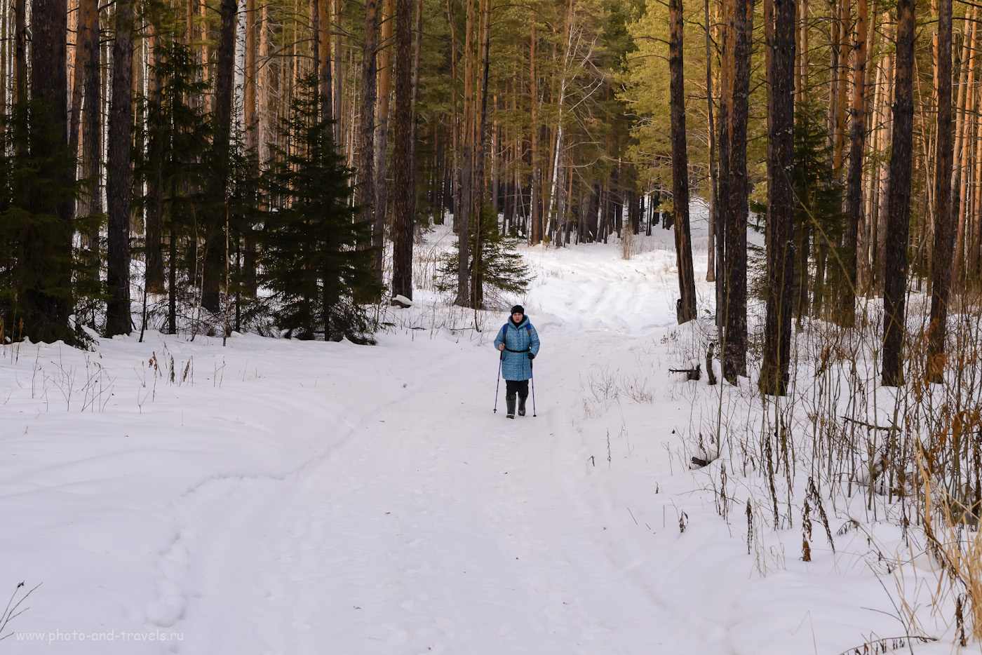Фотография 3. Прогулка к Шайтан-камню. Так выглядит лесовозная дорога зимой. Отзывы туристов о ПВД в Свердловской области. 1/160, +0.33, 8.0, 900, 52.