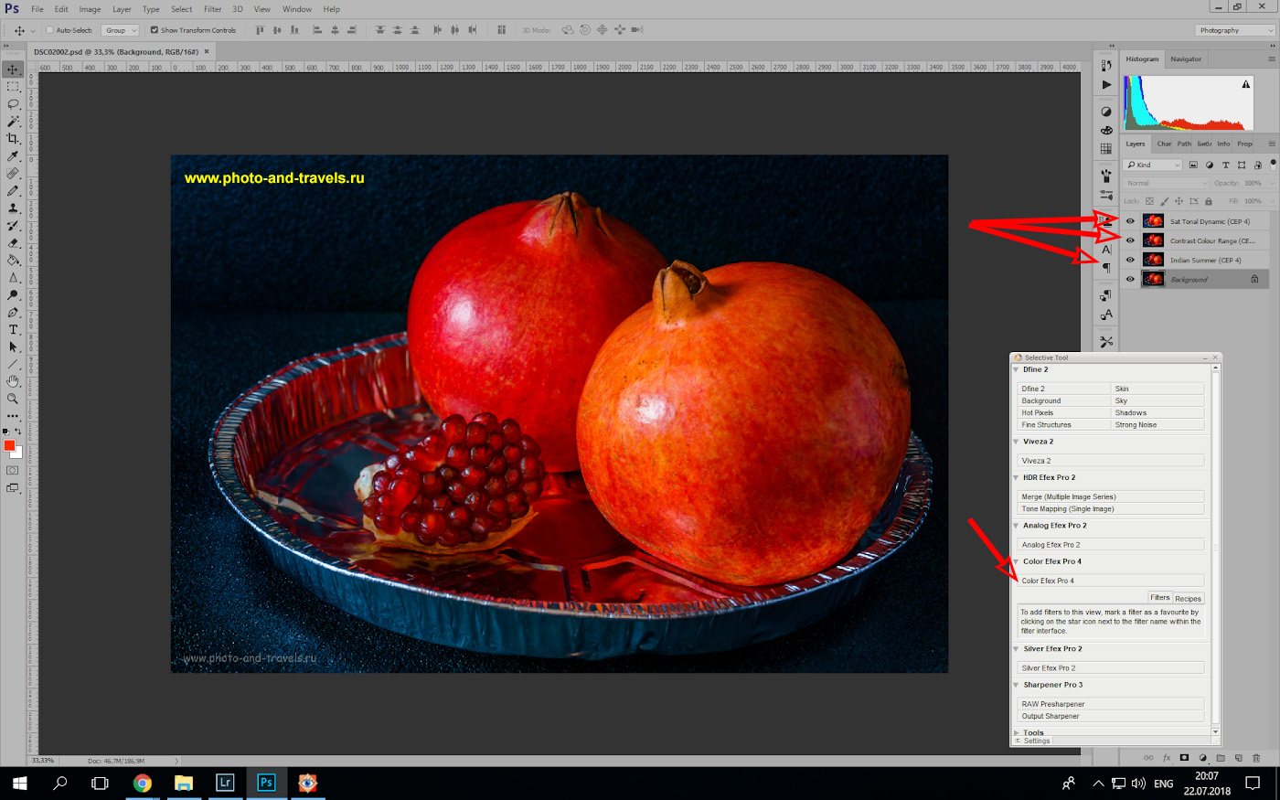 Фото 22. Обработка файла ARW в «Photoshop» при помощи плагина «Nik Collection» от компании «Google».
