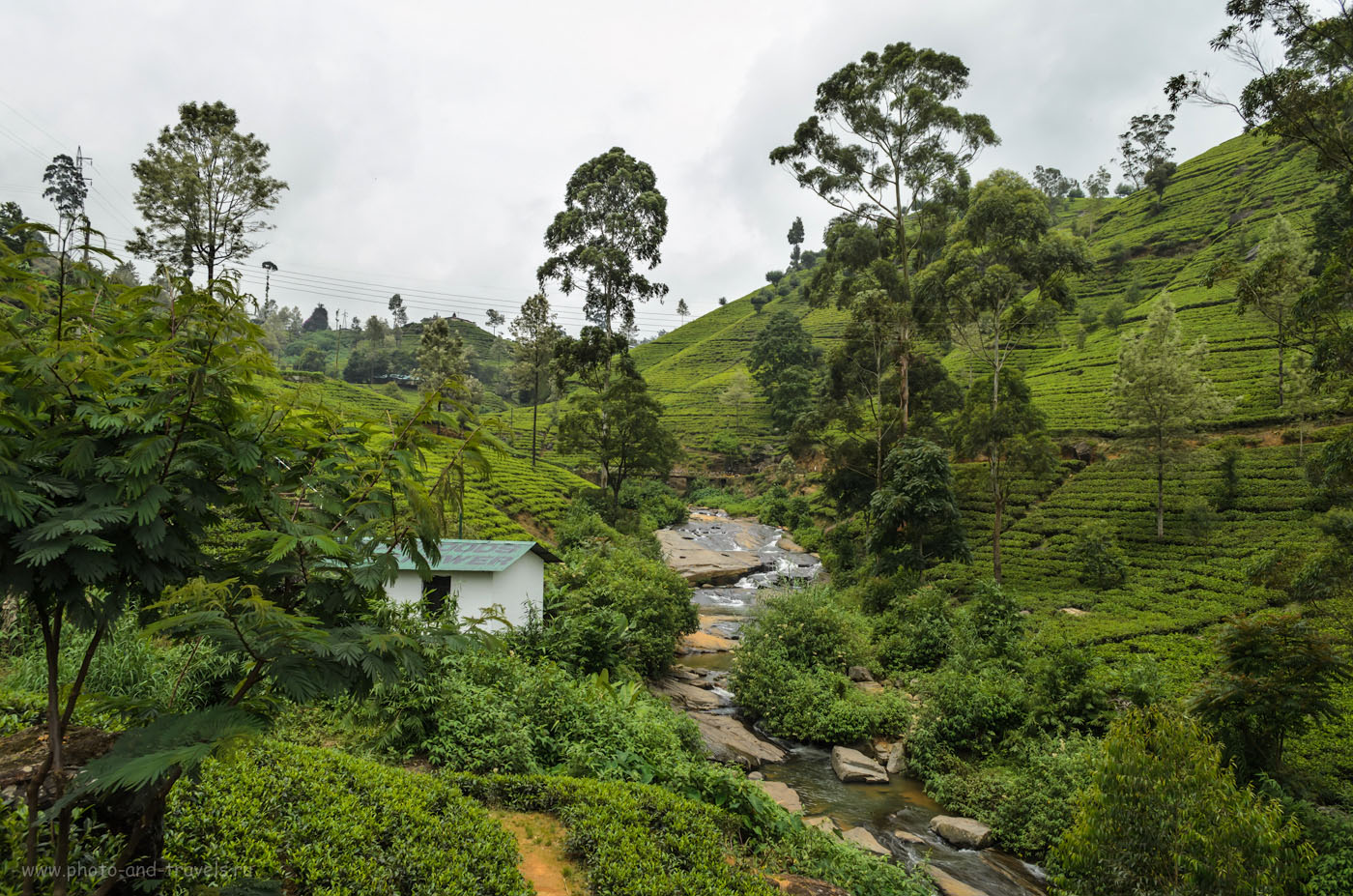 13. Рассказ, как мы смогли добраться на чайные плантации Mackwoods Labookellie самостоятельно. Отдых на Шри-Ланке. Отзывы туристов.